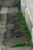 Trottoir (Small).JPG